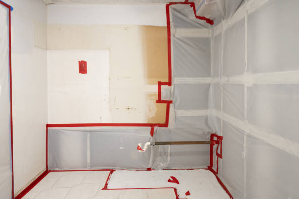 Mold Documentation for Insurance Claims in Bellevue, NE